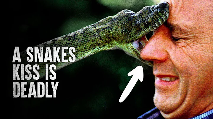 6 Snake Attacks You Wish you Never Saw - DayDayNews