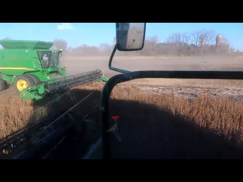 A GREAT last day of Harvesting Soybeans
