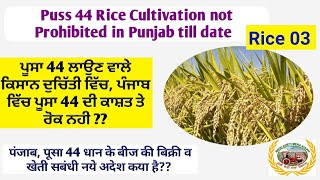 Puss 44 Rice Seed sale stopped in Punjab! ਕੀ ਪੂਸਾ 44 ਝੋਨੇ ਤੇ ਰੋਕ ਲੱਗੀ ਹੈ, ਜਾਂ ਕਿਸਾਨ ਖੇਤੀ ਕਰ ਸਕਣਗੇ!