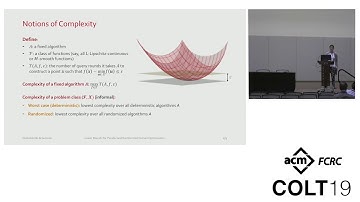 Lower Bounds for Parallel and Randomized Convex Optimization