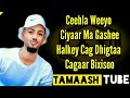 DAYAX DALNUURSHE HEES CUSUB BADRA LYRICSрџЋµ DAYAX DALNUURSHE HEES CUSUB BADRA LYRICSрџЋµ