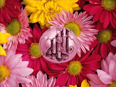 Qisadii Nabi Ibraahim CS Qeebtii 2aad