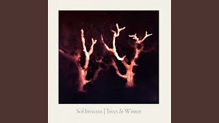 Looking for Europe (Trees in Winter Version, Bonus)