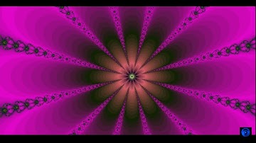 Mesmerizing Newton Flowers Fractal Voyage