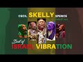 BEST OF ISRAEL VIBRATION (CECIL SKELLY SPENCE TRIBUTE MIX)