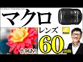 【カメラ初心者必見】 物撮りで活躍するNikonの純正マクロレンズ AF-S Micro NIKKOR 60mm f/2.8G ED /JimaTube253