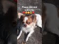 Please like and subscribe