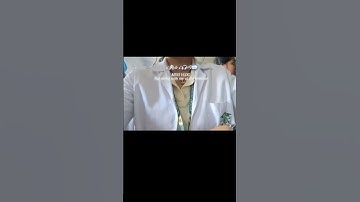 ✧･ﾟ Another page of my diary, filled with today’s little thing #ForYou #FYP #EXPLORE #COLLEGELIFE