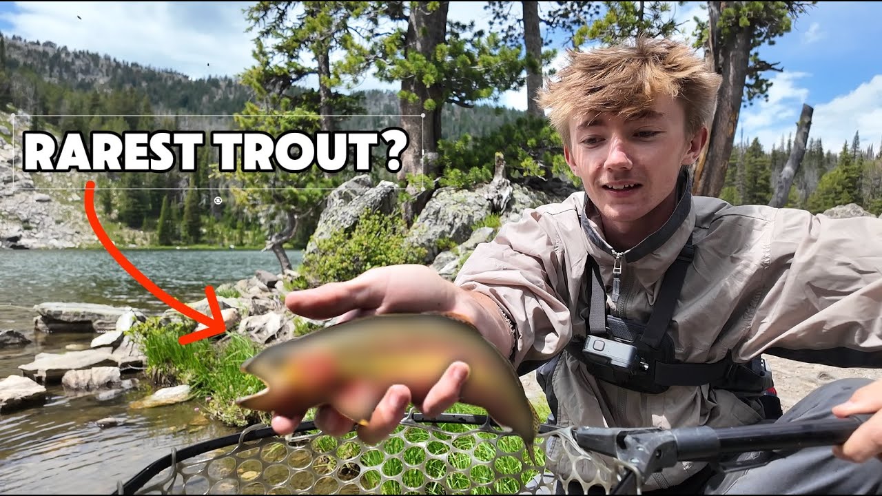 Fishing a REMOTE Alpine Lake for the RAREST TROUT in Montana