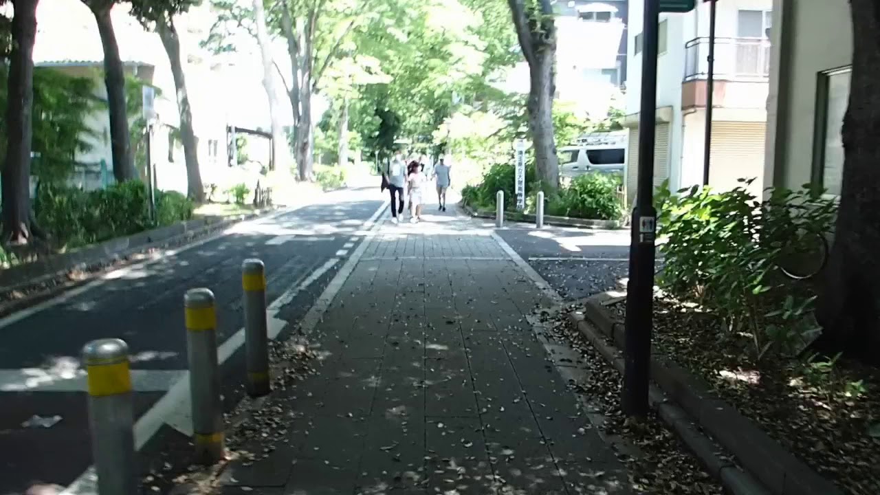 Im walking at Hikawa Shrine, Omiya, Saitama, Japan