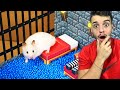 HAMSTER FOI PRESO NA PRISÃO DO MINECRAFT DA VIDA REAL!