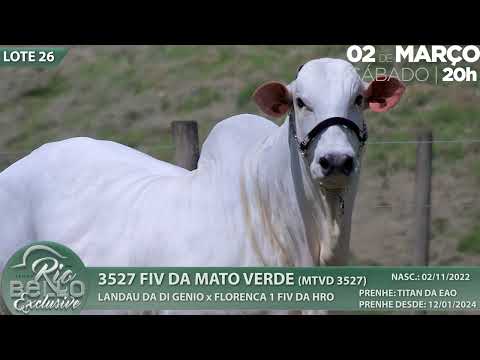 LOTE 26   MTVD 3527