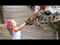 Adorable babies meeting animals in zoo and village  funniest homes