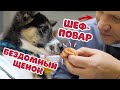 Щенок с улицы в РЕСТОРАН! Шеф-повар приготовил деликатес для бездомного щенка.