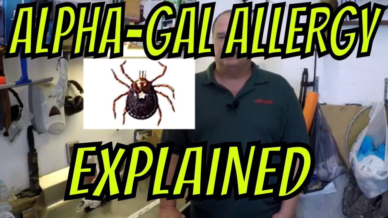 alpha gal allergy alpha gal allergy