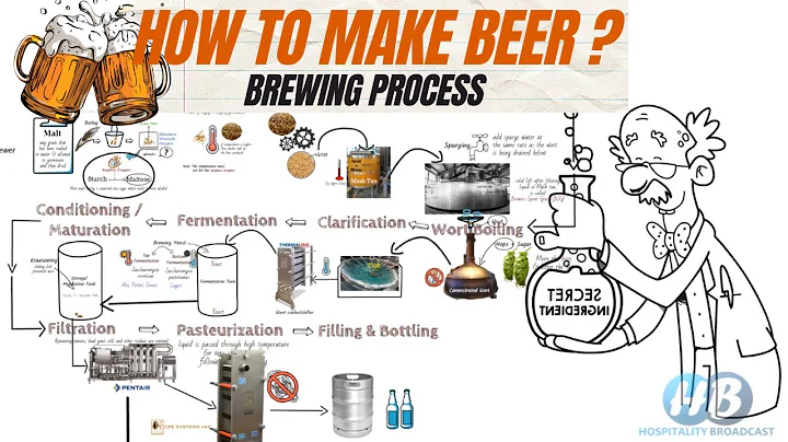 Beer Making Process (step by step)/ Brewing Process/ Beer Manufacturing/ Alcoholic Beverage/ - DayDayNews