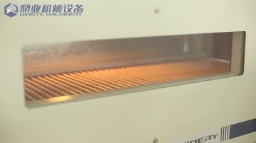 DQL4518G  High speed automatic side sealing machine+DSC4525L Shrink machine(1500mm)