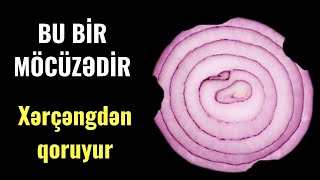 Nə olduğunu biləndə hər gün 1 dənəsini yeyəcəksiz - 40 qəpiklik xilasedici