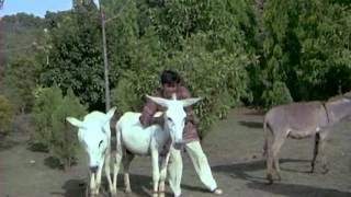 Moti Palley Pai - Ashok Kumar - Reena Roy - Sau Din Saas Ke - Bollywood Songs - Mahendra Kapoor 