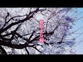 Share Lock Homes  - 『おかえり桜』をリミックスして歌ってみた