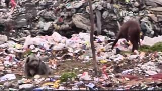 Tribunal Ambiental de Valdivia ratifica multa por incumplimientos del vertedero Boyeco de Temuco