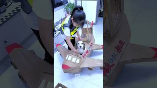 Tommys Smallest Expensive Airplane