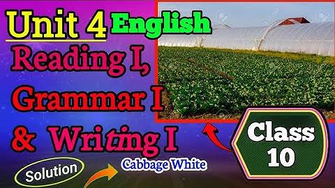 Engels, klas 10, eenheid 4 | Volledige oplossingen voor de koolwitjesoefening