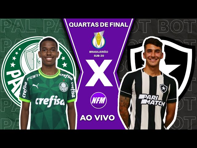 Botafogo x Palmeiras ao vivo e online, onde assistir, que horas é,  escalação e mais das quartas de final do Brasileirão sub-20