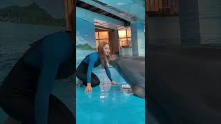 Friendly Dolphin's Loud Laugh After Getting a Kiss From a Lady
