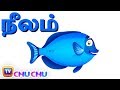    blue colour song     chuchu tv  tamil rhymes for children