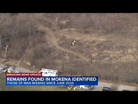 Mokena Patch Police Blotter Todaylibrary Detail