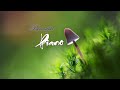 Beautiful Relaxing Music - Calm Piano Music With Birds Singing  by Soothing Relaxation