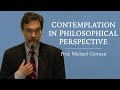 Contemplation in Philosophical Perspective - Prof. Michael Gorman