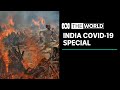 India’s coronavirus crisis: The World special edition | ABC News