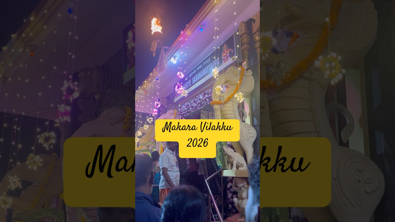 Makara Vilakku 2026 #shorts#swamiyesharanamayyappa