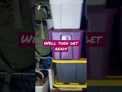 Organize my eBay