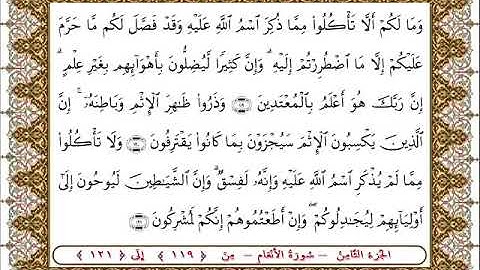 سورة  الأنعام من الأية  119- 121 بصوت الشيخ على جابر