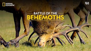Battle of the Behemoths | Animal Fight Night | Full Episode | S3  E3 | Nat Geo Wild