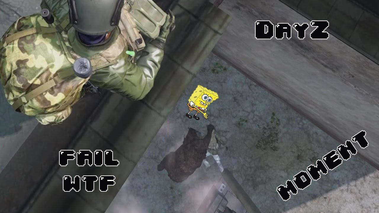 DayZ Забавный момент «Что за хрень?»