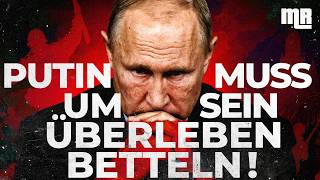 Download Lagu ENTHÜLLT! SCHOCKIERENDE ZAHLEN offenbaren die GANZE KATASTROPHE für RUSSLAND! MP3 Download Lagu ENTHÜLLT! SCHOCKIERENDE ZAHLEN offenbaren die GANZE KATASTROPHE für RUSSLAND! MP3