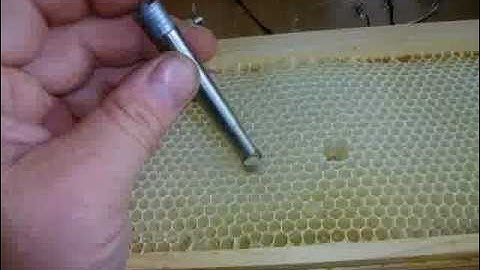 beekeeping punch_tool_demo.mpg