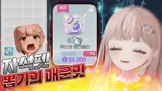 메이플스토리 자석펫 뽑기의 매운맛을 알게 된 뉴비ㅋㅋㅋㅋㅋㅋ