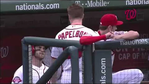 Bryce Harper and Jonathan Papelbon Fight