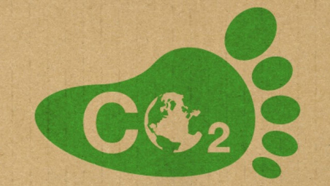 Снижение углеродного следа. Углеродный след. Carbon footprint. Углеродный след иконка. Снижение углеродного следа значок.