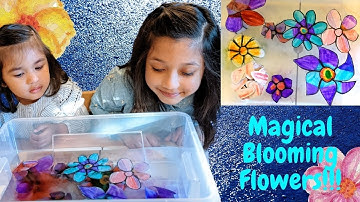 Magical Blooming Flowers |Easy DIY Science Experiment for Kids!!!
