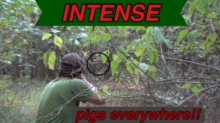 INTENSE HOG SNEAK!! PIG(S) DOWN by Adrenaline Pursuit 96 views 2 years ago 6 minutes, 6 seconds