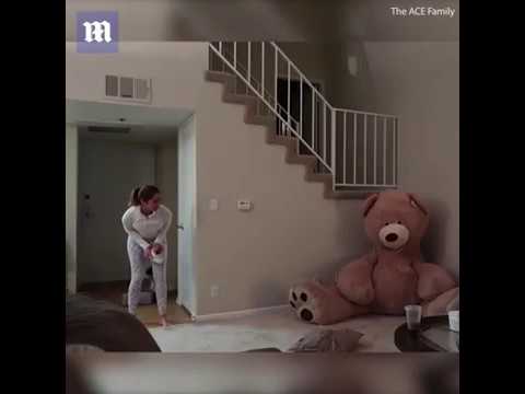 the-teddy-bear-prank-by-man-on-his-wife-viral-vide