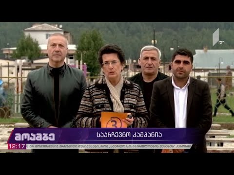 #არჩევნები2020 საარჩევნო კამპანია