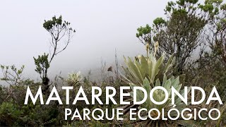 Matarredonda Ecologic Park - Fuji Xt4