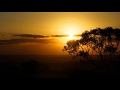 Morning Birdsong in Australia, Relaxing Nature sounds